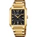 Festina F20678/4 Polshorloge Heren Goudkleurig Zwart Rechthoekig Staal