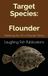 Target Flounder: Mastering the Art of Flounder Fishing