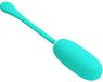 Kirk Rechargeable Vibrating Egg Aqua Green
