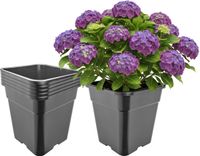 Garronda Set van 5 hoge vierkante kunststof bloempotten met drainagegaten voor tuin (Zwart, 30,5 x 30,5 x 31 cm (18L)) GD-KW-HS