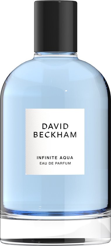 David Beckham Infinite Aqua 100 ml / heren