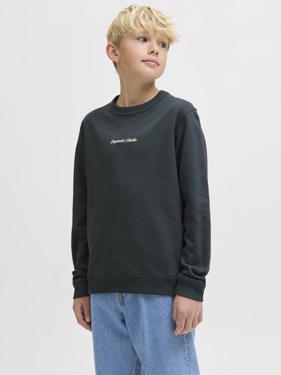 Jack &amp; Jones Kids JACK&JONES Jornorrebro Emb Sweat Crew Noos Jnr Jongens Sweater Forest River Maat 140