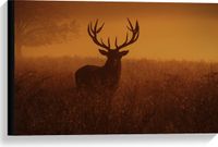 Merkloos / Sans marque Take your time Canvas - Hert met groot gewei staat in grasveld met een oranje rode gloed - 60x40 cm Foto op Canvas Schilderij (Wanddecoratie op Canvas)
