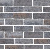 Merkloos Gardenlux Maeslant waterpasserende eco bricks geimpregneerd 7x21x8 cm