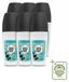Marcel's Green Soap 6 x Déodorant Roller Mimosa & Cassis - 50 ml