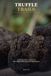 Truffle Trails: A Traveler's Guide to the Périgord, France's Land of Black Diamonds