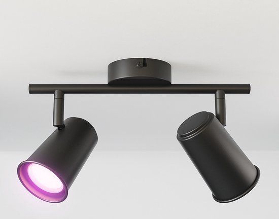 HOFTRONIC SMART Riga - LED smart plafondlamp - 2 spots - Zwart