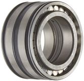 INA SL045009 Cilindrisch Rollager