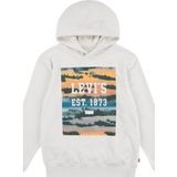 Levi's Garçon Sweat à capuche Landscape Box Bouleau
