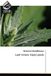 Leaf Noor Publishing Leaf miners Insect pests