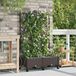 Maison Exclusive - Deux jardinières pour fleurs avec système d'arrosage et roues, couleur marron, en plastique PP
