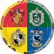Procos Borden Harry Potter Junior 23 Cm Karton 8 Stuks