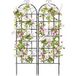 Coast Ensemble de treillis Coast - Treillis métallique pour plantes en 2 parties - Treillis de jardin autoportant - 180 x 50 cm - noir