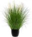 Atmosphera Plante artificielle Spice - Roseau avec pot - Ø110xH105cm - Vert