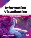 Information Bpb Publications Information Visualization: From data fundamentals and visual encoding to complex relational and time-series visualizations (English Edition)