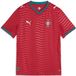 PUMA FPF Thuisshirt Replica Jr Kinderen Rood Maat 164