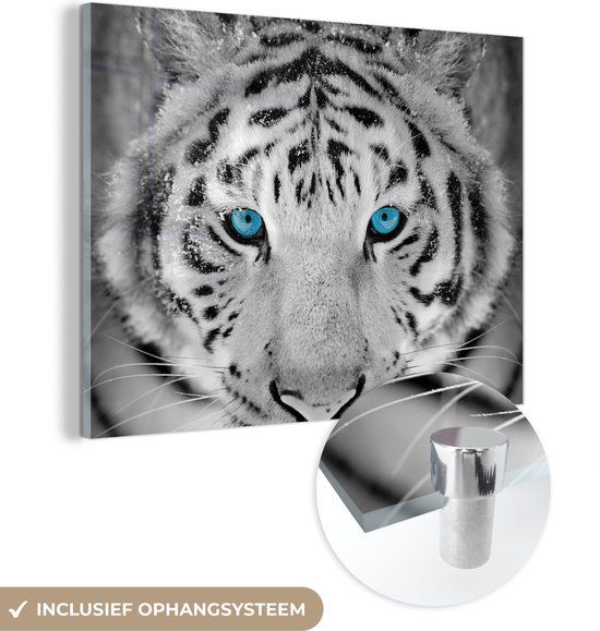 MuchoWow® Glass Painting 80x60 cm - Acrylic Glass Painting - Tiger - Winter - Animals - Photo on Glass - Paintings