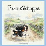 Pako Pako qui s'échappe de la maison