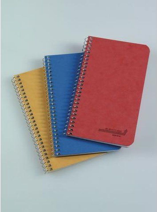 Aurora Spiraalblok Aurora 80x135mm Ruit 100 Vel - Assorti