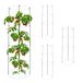 Merkloos / Sans marque Relaxdays Tomatensteun Set van 4