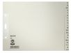 Leitz 12100085 Alphabetischer Registereinsatz Karton Grau 20 Reiter