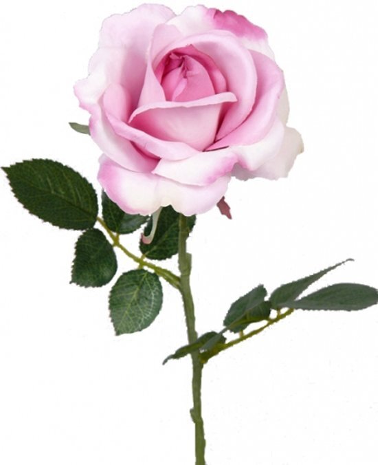 Bellatio Flowers & Plants Fun & Feest Bloemen Kunst roos roze