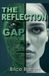 The Brice Barrett The Reflection Gap Paperback