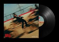 Sony Music Insanity Records The Panic Years LP