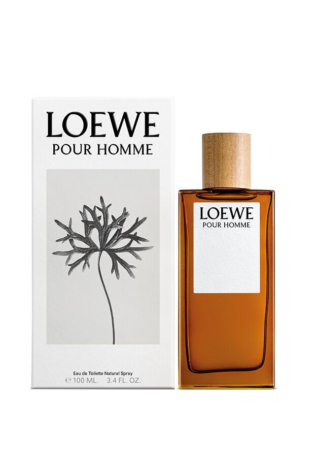 LOEWE Perfumes Loewe Pour Homme / 100 ml / Men