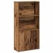 vidaXL Boekenkast 60x24x120 cm bewerkt hout oud houtkleurig