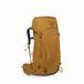 Osprey Kyte 38 Dames Wandelrugzak Bruin 38L Nylon/Polyester