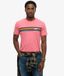 Superdry Outdoor Stripe Logo Relaxed T-shirt Heren