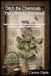 Ditch Soapwort Ditch the Chemicals - The Ultimate Soapwort Guide: Learn safe foraging and extraction to craft chemical-free shampoos, laundry wash, and salves