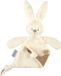 Nattou LAPIDOU Knuffeldoekje Doudou - Konijn - 36 cm - Vanille