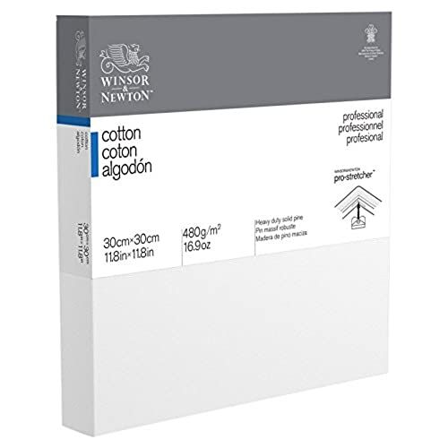 Winsor & Newton Professioneel Katoenen Diepe Rand Canvas - 30 x 30 cm - Pack van 1