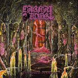 Suburban Carnal Tomb - Embalmed in Decay