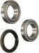 IPS Parts IUB-10800 wiellagerset voor voorwiel