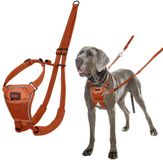 HALTI Company of Animals Hondentuigje BURNT Oranje L