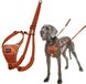 HALTI Company of Animals Hondentuigje BURNT Oranje L