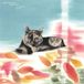 Konkurrent Eddie Marcon - Carpet Of Fallen Leaves (2 LP)