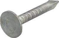 Intergard Asfaltnagels 3.0x20mm voor dakshingels en dakrollen