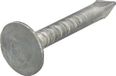 Intergard Asfaltnagels 3.0x20mm voor dakshingels en dakrollen