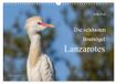 Die Calvendo Die schönsten Brutvögel Lanzarotes (Wandkalender 2027 DIN A3 quer), CALVENDO Monatskalender