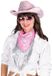 Coppens Wilbers Bandana Met Strass en Franjes Roze/zilver