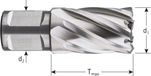 Rotec HSS Kernboor, 'Silver Line', Weldon 19, ø49x55