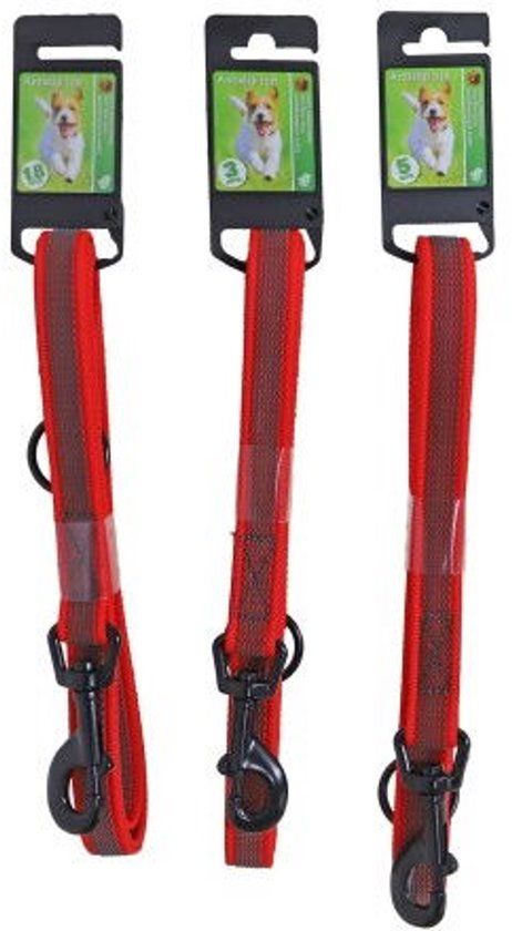 Gebr. de Boon Lijn anti slip 20mm/180cm rood