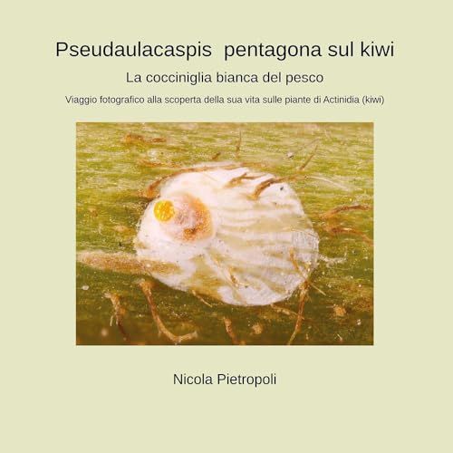 Pseudaulacaspis pentagona sul kiwi. La cocciniglia bianca del pesco. Viaggio fotografico alla scoperta della sua vita sulle piante di actinidia (kiwi)