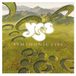 Edel Se & Co. Kgaa Earmusic Classics Symphonic Live - Live In Amsterdam 2001