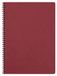 Clairefontaine 781420C Collectie Nomaddict (ex Age Bag) Spiraalschrift Rood - A4 21x29,7 cm - 100 Pagina's Kleine Ruitjes - Wit Papier 90 g - Omslag Glanskarton met Lederkorrel