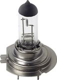 Lampa Autolampen H7 12V 55W
